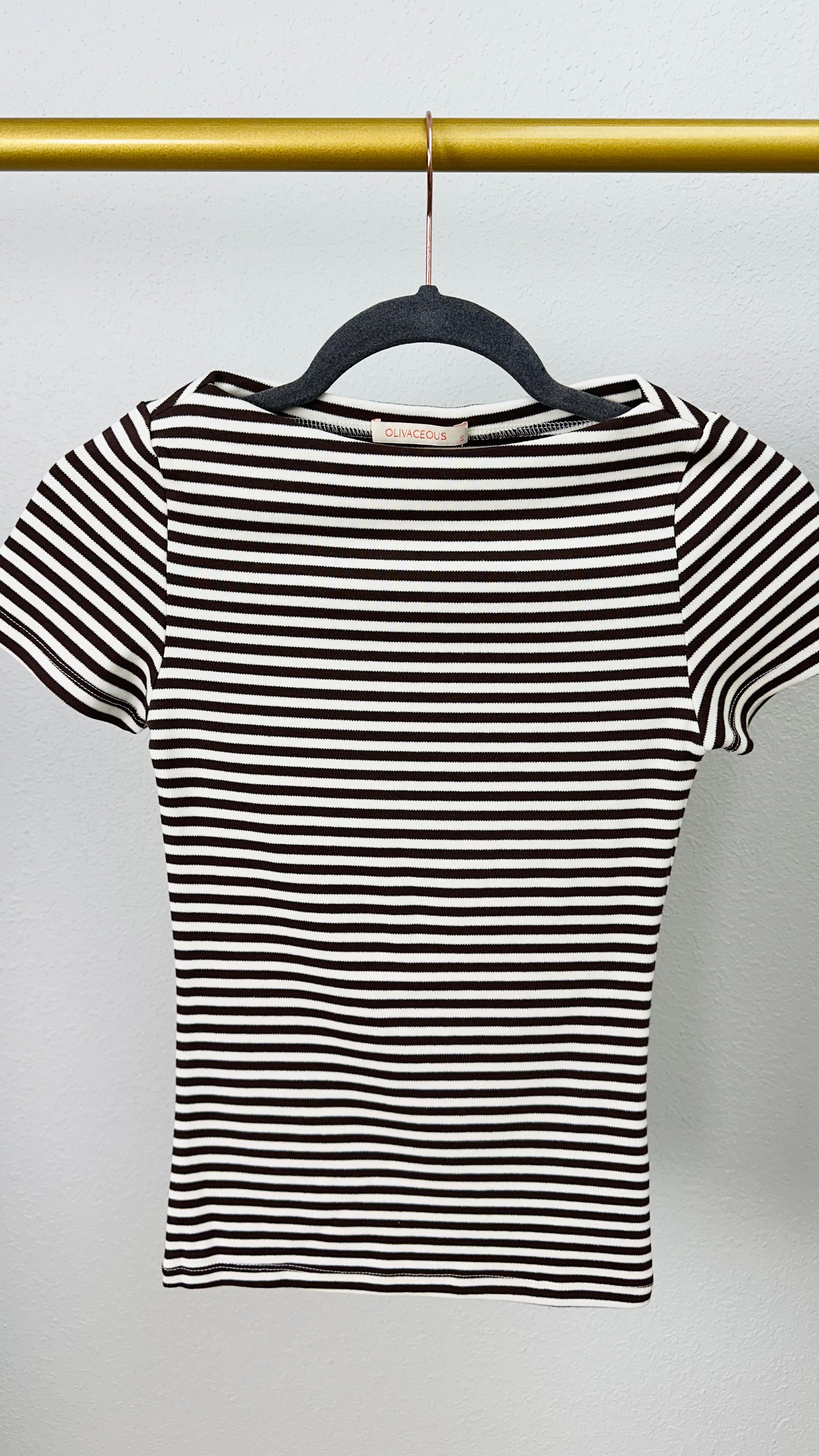 Brown Stripe Boat Neck Fitted Top